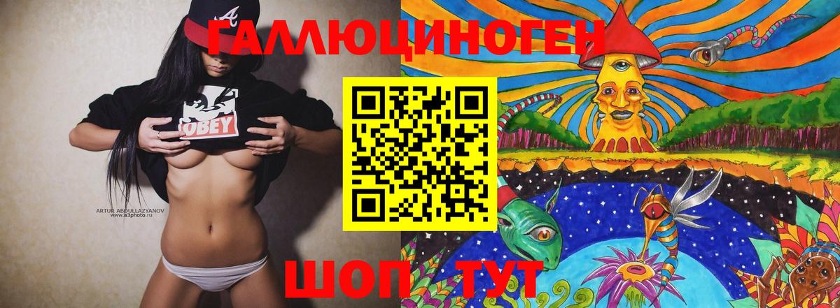 продажа наркотиков  Вход с VPN  Ногинск  Галлюциногенные грибы GOLDEN TEACHER 