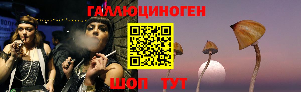 Псилоцибиновые грибы Psilocybe Ногинск